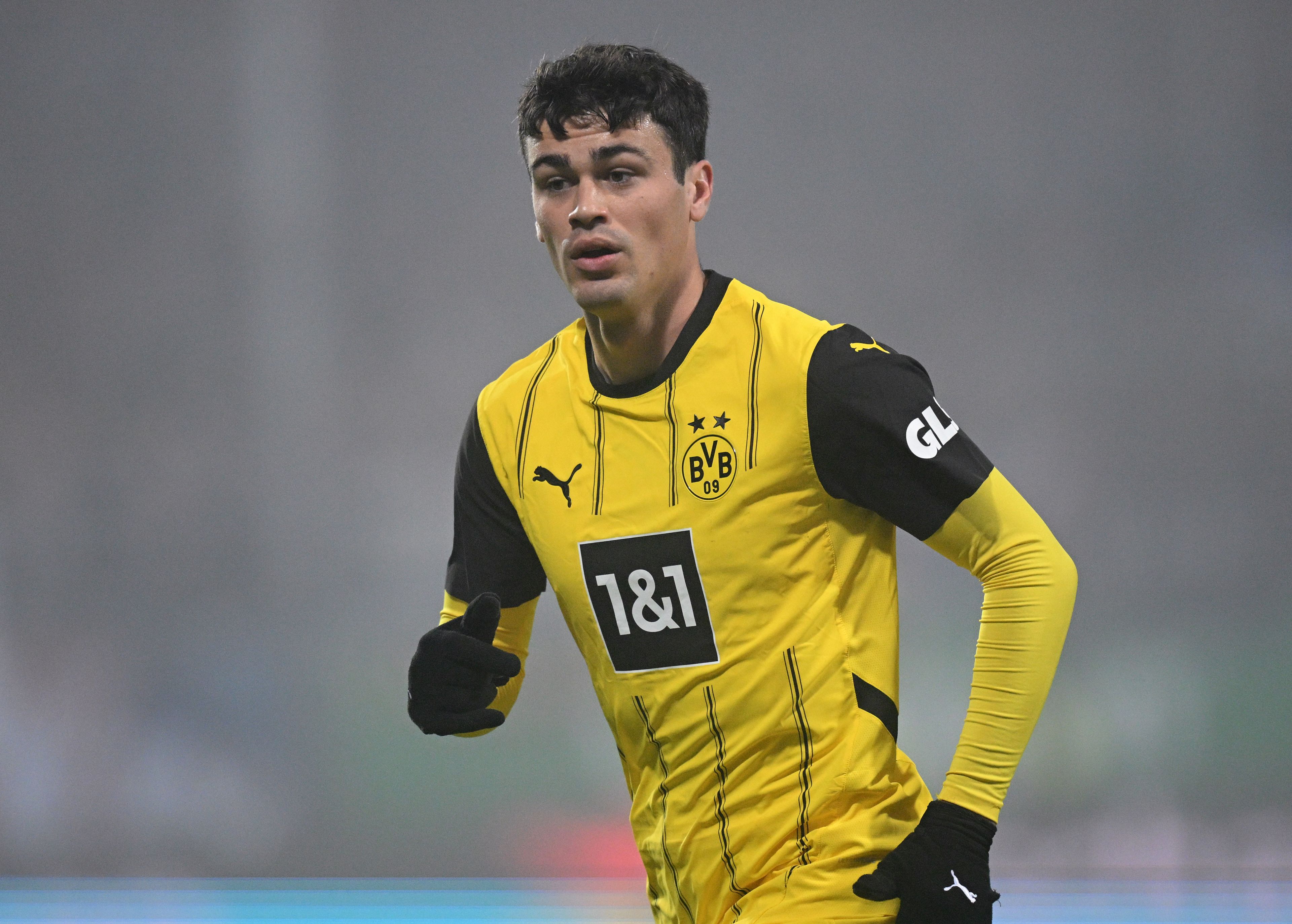 Giovanni Reyna Borussia Dortmund