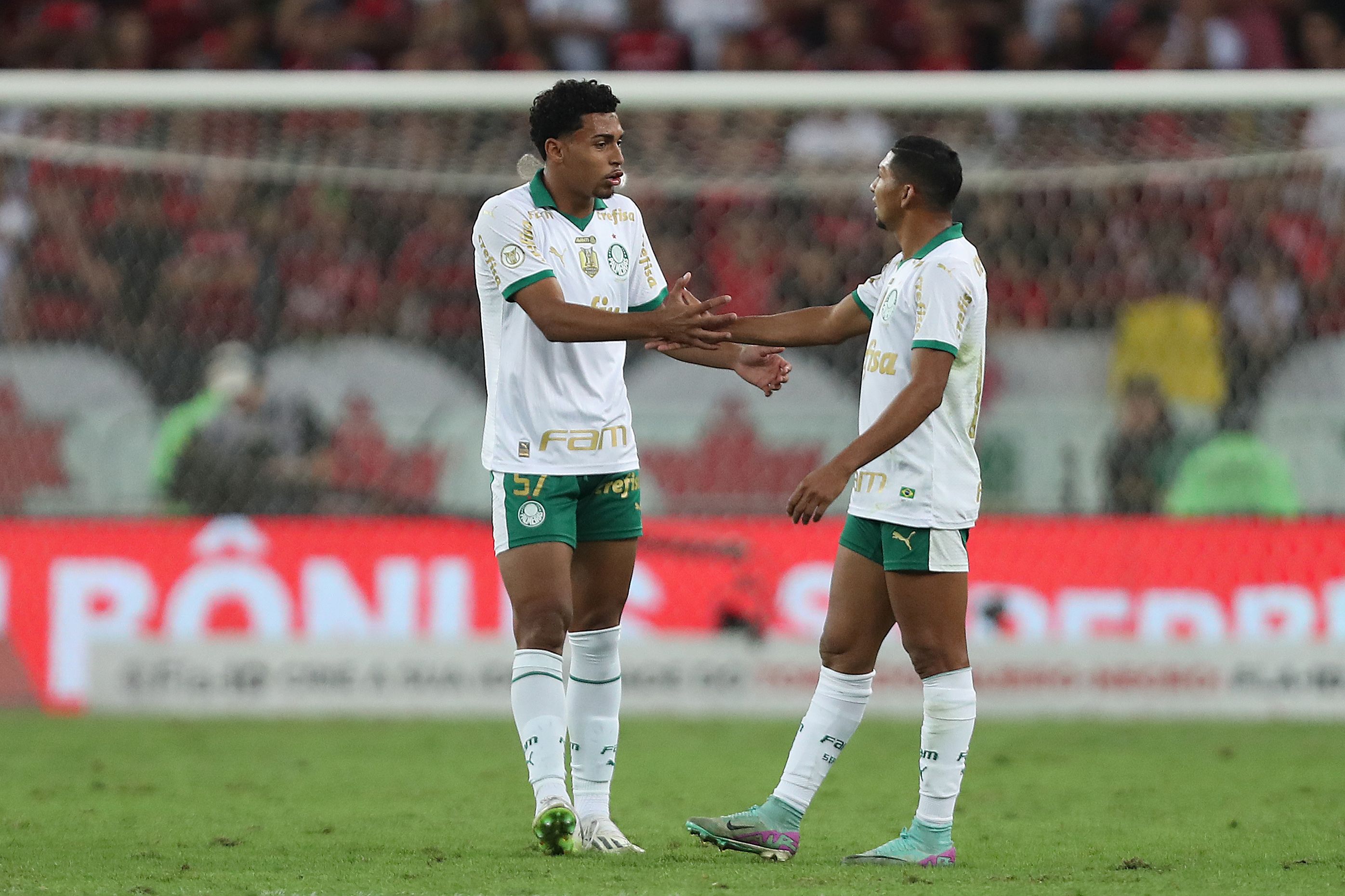 Palmeiras Luighi